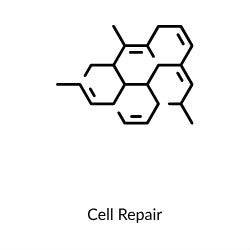 Cell Repair