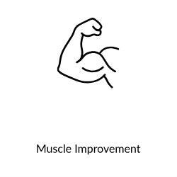 Gain Muscles 